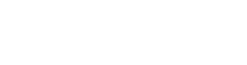 Demars Lojistik Logo